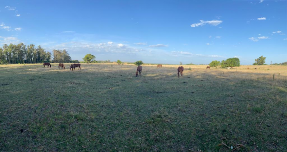 LOCACIONES PARA PRODUCCION 360°